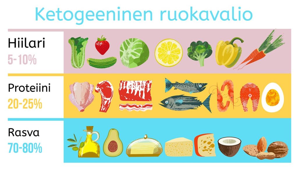 Top 28+ imagen ketogeeninen ruokavalio sallitut ruoka aineet